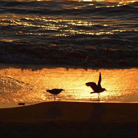 Ayenac Διαμέρισμα *